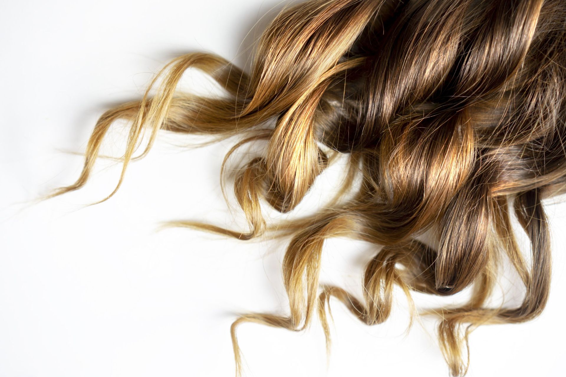 Strands of curly blonde hair on a white background.